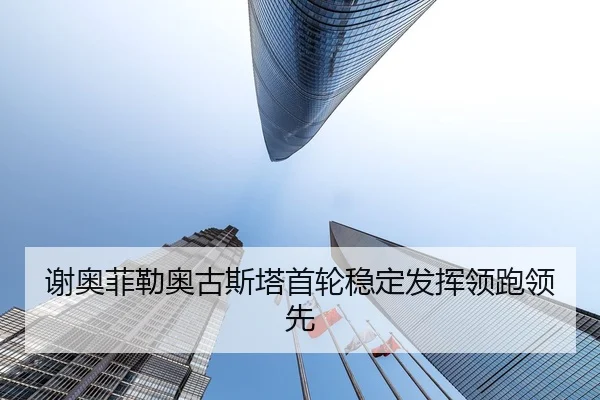 xie-ao-fei-lei-ao-gu-si-ta-shou-lun-wen-ding-fa-hui-ling-pao-ling-xian-2-143.jpg