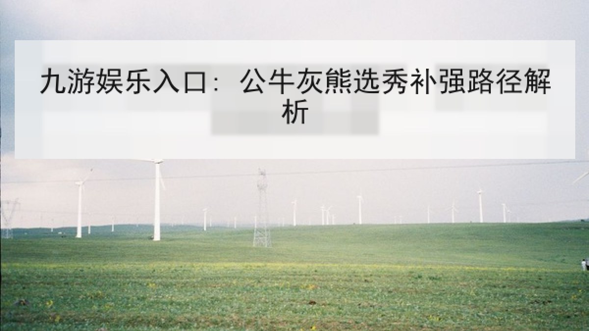 九游娱乐入口: 公牛灰熊选秀补强路径解析