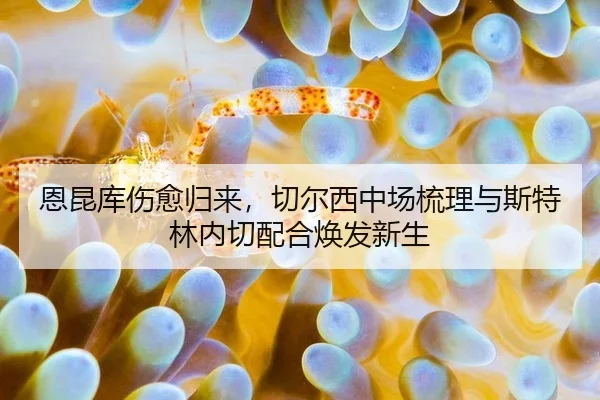 恩昆库伤愈归来，切尔西中场梳理与斯特林内切配合焕发新生