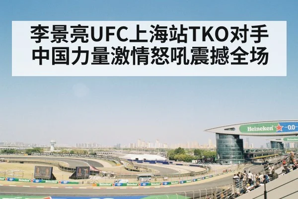 李景亮UFC上海站TKO对手 中国力量激情怒吼震撼全场