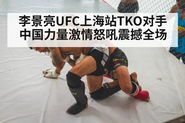 Li Jingliang knockout UFC